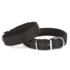 DOGGİE KÖPEK BOYUN TASMASI SİYAH 4010LBLACK